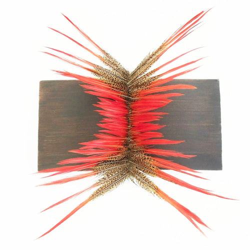 Spine (pheasant  feather wall hanging)