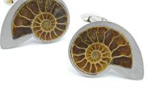 Load image into Gallery viewer, Nautilus cufflinks