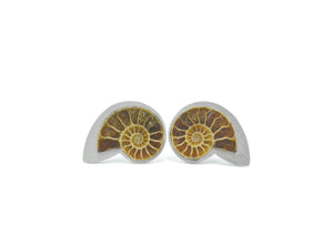 Nautilus cufflinks