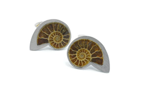 Nautilus cufflinks