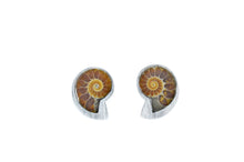 Load image into Gallery viewer, Nautilus small earring