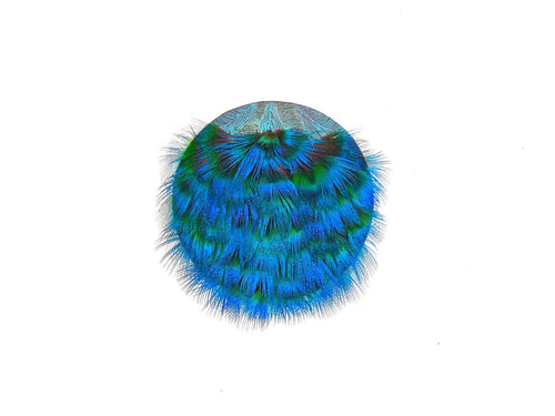 Peacock feather wall hanging